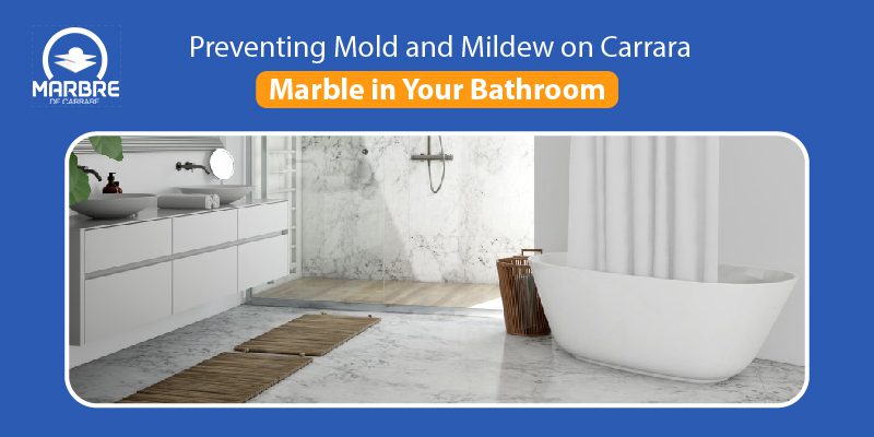 Preventing Mold and Mildew on Carrara Marble in Your Bathroom